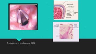 Profa.dra.ana paula zarzur 2024
 