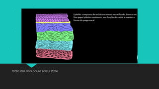 Profa.dra.ana paula zarzur 2024
 