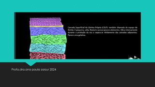 Profa.dra.ana paula zarzur 2024
 
