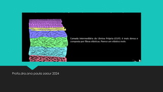 Profa.dra.ana paula zarzur 2024
 