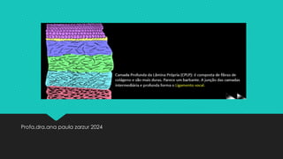 Profa.dra.ana paula zarzur 2024
 