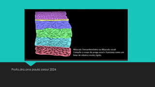 Profa.dra.ana paula zarzur 2024
 