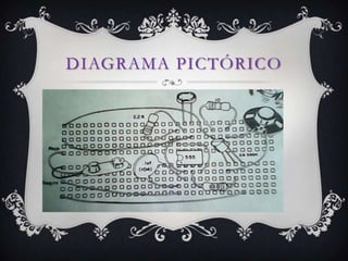 DIAGRAMA PICTÓRICO
 
