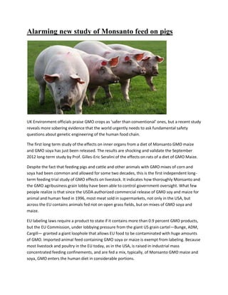 Alarming new study of Monsanto feed on pigs
UK Environment officials praise GMO crops as ‘safer than conventional’ ones, but a recent study
reveals more sobering evidence that the world urgently needs to ask fundamental safety
questions about genetic engineering of the human food chain.
The first long term study of the effects on inner organs from a diet of Monsanto GMO maize
and GMO soya has just been released. The results are shocking and validate the September
2012 long-term study by Prof. Gilles-Eric Seralini of the effects on rats of a diet of GMO Maize.
Despite the fact that feeding pigs and cattle and other animals with GMO mixes of corn and
soya had been common and allowed for some two decades, this is the first independent long-
term feeding trial study of GMO effects on livestock. It indicates how thoroughly Monsanto and
the GMO agribusiness grain lobby have been able to control government oversight. What few
people realize is that since the USDA authorized commercial release of GMO soy and maize for
animal and human feed in 1996, most meat sold in supermarkets, not only in the USA, but
across the EU contains animals fed not on open grass fields, but on mixes of GMO soya and
maize.
EU labeling laws require a product to state if it contains more than 0.9 percent GMO products,
but the EU Commission, under lobbying pressure from the giant US grain cartel—Bunge, ADM,
Cargill— granted a giant loophole that allows EU food to be contaminated with huge amounts
of GMO. Imported animal feed containing GMO soya or maize is exempt from labeling. Because
most livestock and poultry in the EU today, as in the USA, is raised in industrial mass
concentrated feeding confinements, and are fed a mix, typically, of Monsanto GMO maize and
soya, GMO enters the human diet in considerable portions.
 