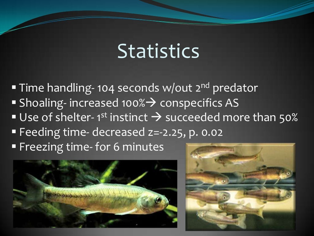 Alarm Pheromones In Aquatic Animals