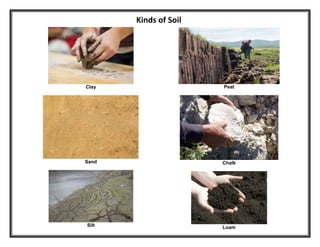 Clay
Sand
Silt
Peat
Chalk
Loam
Kinds of Soil
 