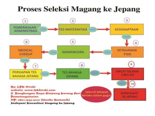 Alasan Kuat Magang Ke Jepang Peluang Sukses