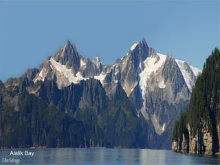 Aialik Bay 