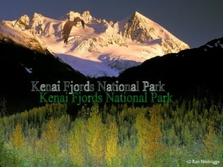 Kenai Fjords National Park 