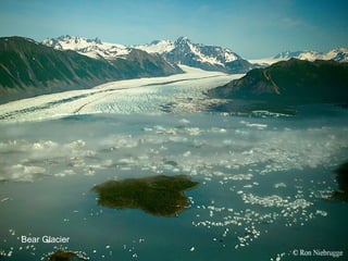 Bear Glacier 