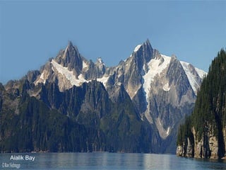 Aialik Bay 