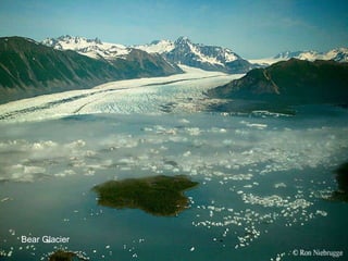 Bear Glacier 
