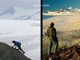 Harding  Icefield 