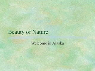 Beauty of Nature Welcome in Alaska 