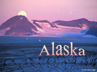 Alaska 