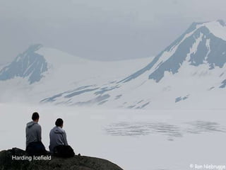 Harding Icefield 