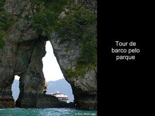 Tour de barco pelo parque 