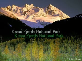 Kenai Fjords National Park 