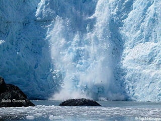 Aialik Glacier 