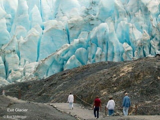 Exit Glacier 