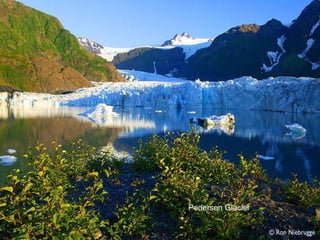 Pedersen Glacier 
