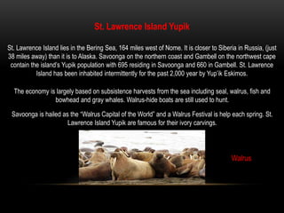 Native Alaskan InformationThe term Alaska Native, referring to Alaska's original inhabitants, includes Aleut, Eskimo and Indian groups who differ from each other in ethnic origin, language and culture. The terms “Inuit” and “Native American” are sometimes used in place of “Eskimo” and “Indian”.In 1996, Alaska Natives constituted 16.5% of the state's total population. In 1971 the Alaska Native Claims Settlement Act (ANCSA) was passed by U.S. Congress. Alaska Natives received 44 million acres of land and $962.5 million, in exchange for the extinguishment of their aboriginal land claims. The cash and lands became the property of the 13 regional, 4 urban, and over 200 village Native corporations formed by the Act. Any Native Alaskan born before passage of the Act who could prove one-quarter blood Native ancestry, was eligible to enroll in a local and regional corporation, entitling him or her to 100 shares in both corporations.Three Alaska Native Girls in traditional parkas