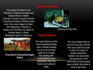AleutNativesAleut homelands include the Aleutian Islands, the Pribilof Islands, the Shumagin Islands, and the far western part of the Alaska Peninsula. The Aleut are expert boat builders and sailors and are well known for their kayaks. They are also known for their very fine baskets. Alaska Native Boy Ice FishingAlutiiqEskimosAlutiiq Eskimos, also referred to as Kana, are related to the Yupik, but are geographically located near the Aleut native villages. Yupik Eskimo DanceWalrus Skin TrampolineAthabascanIndiansThe Athabascan people traditionally lived along five Alaskan rivers: the Yukon, the Tanana, the Susitna, the Kuskokwim, and the Copper River. This area, known as the "Interior" of Alaska, runs from south of the Brooks Mountain Range down to the Kenai Peninsula. They speak eleven different languages.