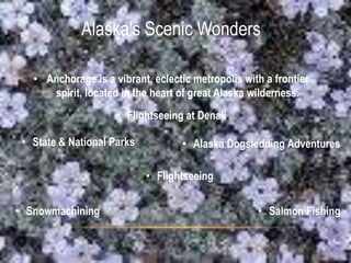 Types of Alaskan Salmon Chinook salmon (king) This is the largest of the five Pacific salmon species, with mature adults growing to about 40 inches in length and weighing an average of 22 pounds. However, kings may grow as large as 100 pounds or more. In Alaska waters, 40- to 50-pounders are not uncommon."Old Man And The King"