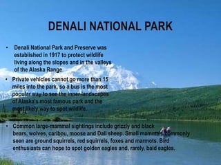 Sockeye salmon (red) The sockeye is Alaska's most valuable fish. The Alaskan adult averages 24 inches in length and 6 to 9 pounds. Sockeye account for 25 to 30 percent of Alaska's commercial salmon harvest. They are also called reds because males turn a brilliant red color when spawning."Jumping Sockeye Salmon Brooks Fall Katmai National Park": 