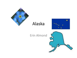 Alaska Erin Almond 