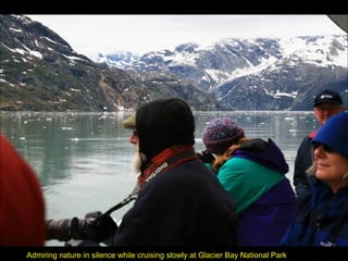 Admiring nature in silence while cruising slowly at Glacier Bay National Park 
