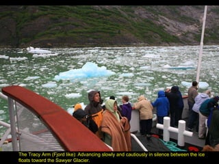 The Tracy Arm (Fjord like): Advancing slowly and cautiously in silence between the ice floats toward the Sawyer Glacier. 