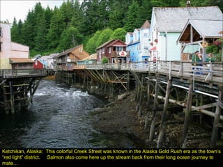 Ketchikan, Alaska:  This colorful Creek Street was known in the Alaska Gold Rush era as the town’s “red light” district.  Salmon also come here up the stream back from their long ocean journey to mate… 