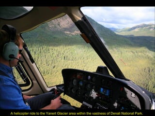 A helicopter ride to the Yanert Glacier area within the vastness of Denali National Park. 
