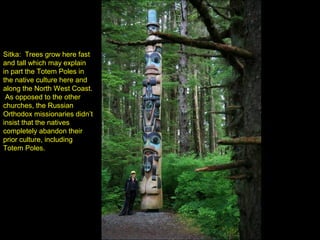 Sitka: Trees grow here fast
and tall which may explain
in part the Totem Poles in
the native culture here and
along the North West Coast.
 As opposed to the other
churches, the Russian
Orthodox missionaries didn’t
insist that the natives
completely abandon their
prior culture, including
Totem Poles.
 
