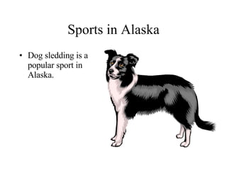 Sports in Alaska Dog sledding is a popular sport in Alaska. 