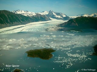 Bear Glacier 