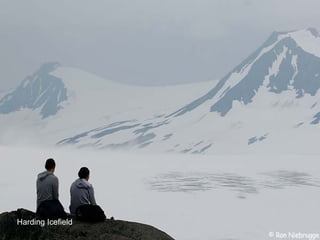 Harding Icefield 