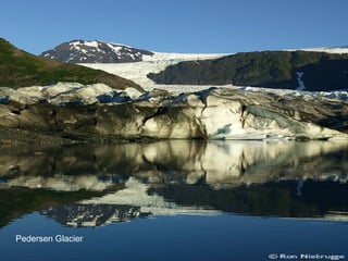 Pedersen Glacier 
