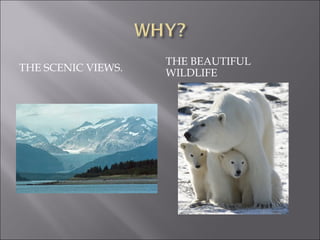 Alaska | PPT