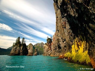 Ressurection Bay
 