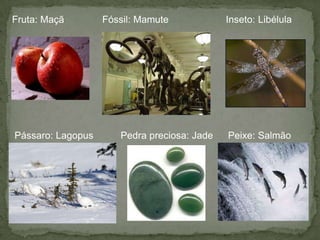 Fruta: Maçã

Pássaro: Lagopus

Fóssil: Mamute

Pedra preciosa: Jade

Inseto: Libélula

Peixe: Salmão

 