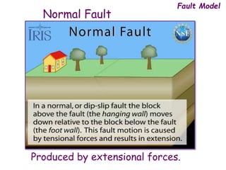 Normal Fault
Fault Model
Produced by extensional forces.
 