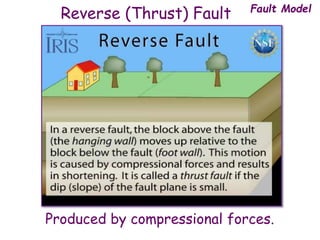 Reverse (Thrust) Fault
Produced by compressional forces.
Fault Model
 