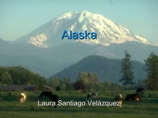 Alaska Laura Santiago Vel ázquez 