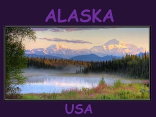 ALASKA USA 