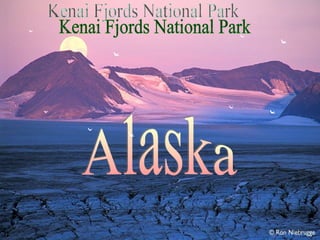Alaska Kenai Fjords National Park 