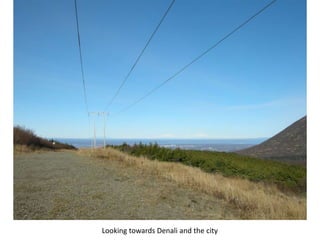 Looking towards Denali and the city