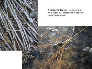 A frosty mid-day hike – temperatures were in the 40’s Fahrenheit in the sun; colder in the shade.