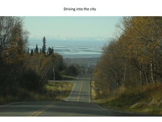 Driving into the city